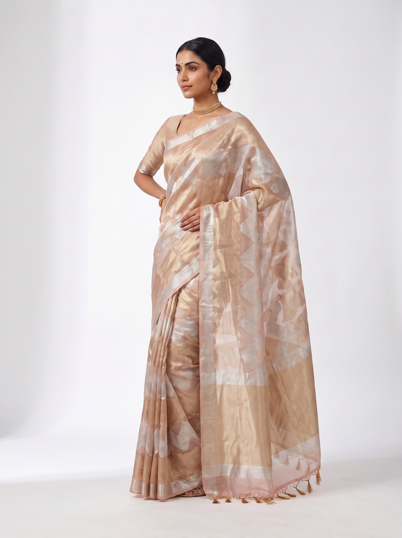 Pure Tissue Silk Saree | Silver Grey + Grey Brocade Woven Zari | Contrast Zari Border | Pahiza Sarees image 2